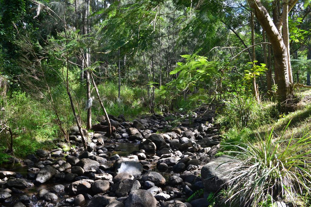 Tuckers Retreat Hotel Canungra Exterior photo