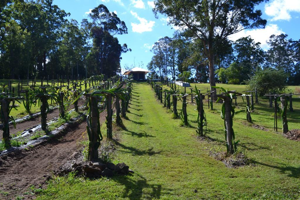 Tuckers Retreat Hotel Canungra Exterior photo
