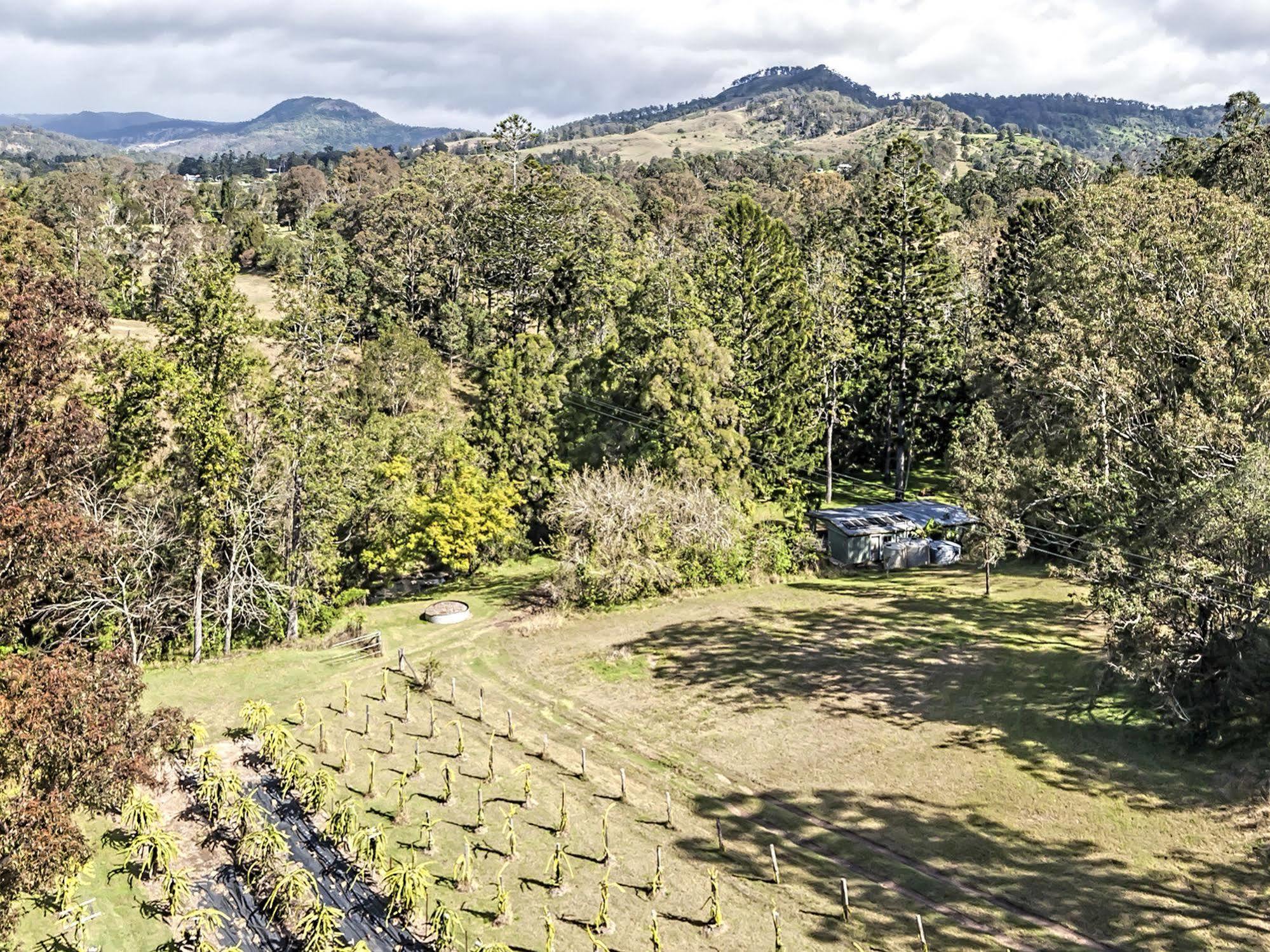 Tuckers Retreat Hotel Canungra Exterior photo