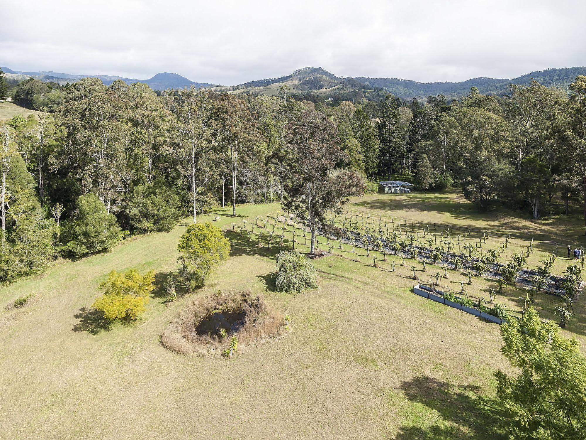 Tuckers Retreat Hotel Canungra Exterior photo